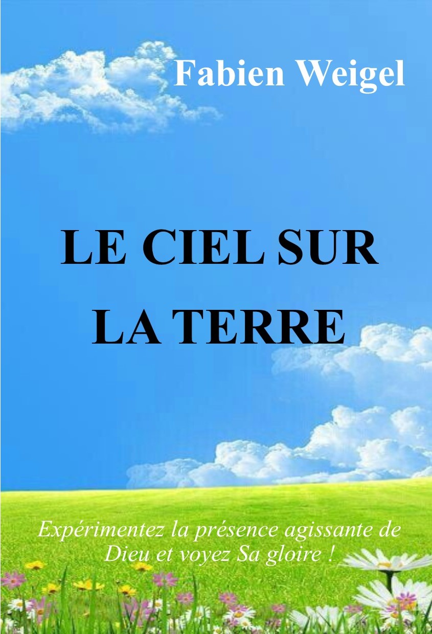 LE CIEL SUR LA TERRE - Fabien Weigel